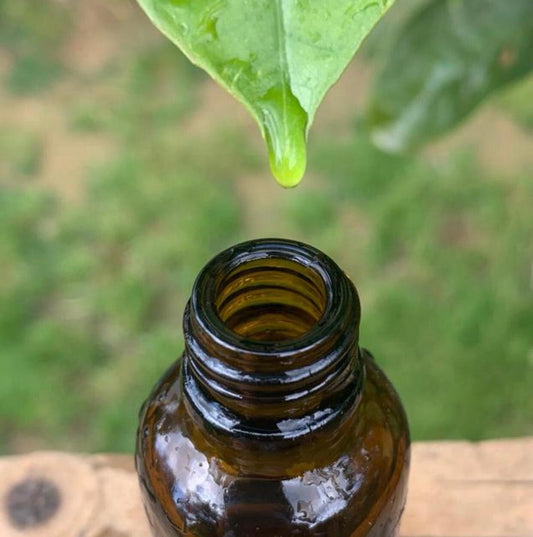 The Power of Nature: Plant Peptides, Extracts, and Hyaluronic Acid in Skincare