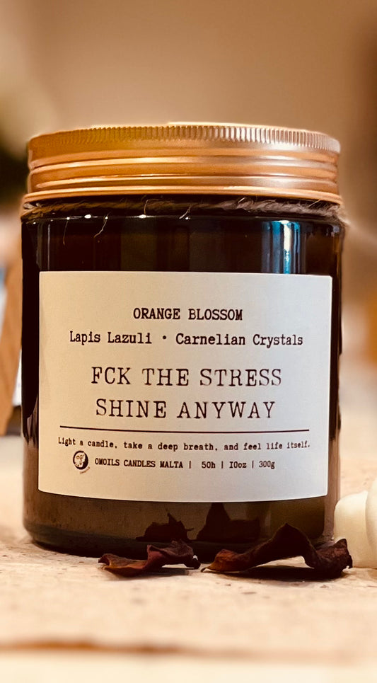 Fck The Stress Shine Anyway